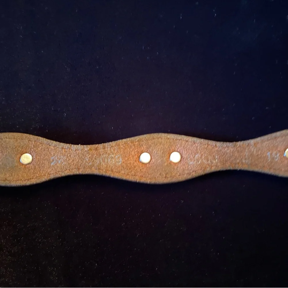 Brown Leather Belt with 7 Silver Accents